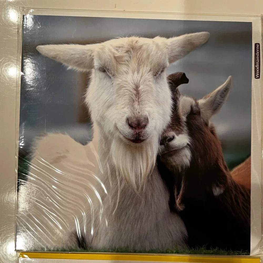 Greeting Cards - Beautiful‎ Photography - Blank (Set of 4 / New)